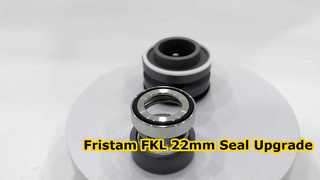 Lihat Mengapa Memilih SIC SIC FKM Mechanical Seal 22MM Cocok Untuk Pompa Fristam FKL