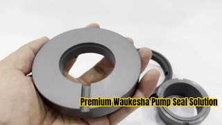 Melihat Lebih Dekat: Mechanical Seal Dual Face AES W13U SiC/SiC, FKM Untuk Pompa Waukesha